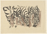 Artist: MACQUEEN, Mary | Title: Africa | Date: 1973 | Technique: lithograph, printed in colour, from two plates in black and brown ink | Copyright: Courtesy Paulette Calhoun, for the estate of Mary Macqueen