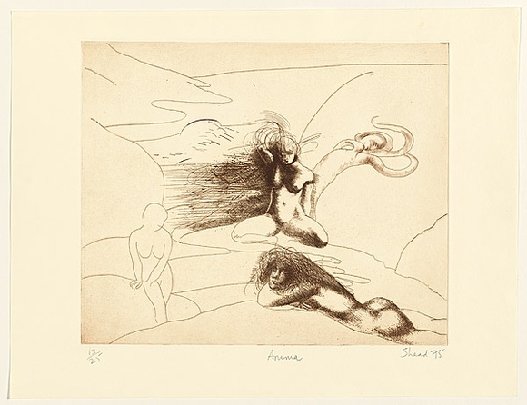 Artist: b'Shead, Garry.' | Title: b'Anima' | Date: 1975 | Technique: b'etching, printed in brown ink, from one plate' | Copyright: b'\xc2\xa9 Garry Shead'