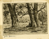 Artist: b'Farmer, John.' | Title: b'Old gums.' | Date: 1950 | Technique: b'etching, printed in black/brown ink with plate-tone, from one  plate'