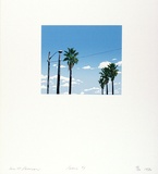 Artist: Pearson, Ian. | Title: Palms 1 | Date: 1976 | Technique: screenprint, printed in colour, from multiple stencils