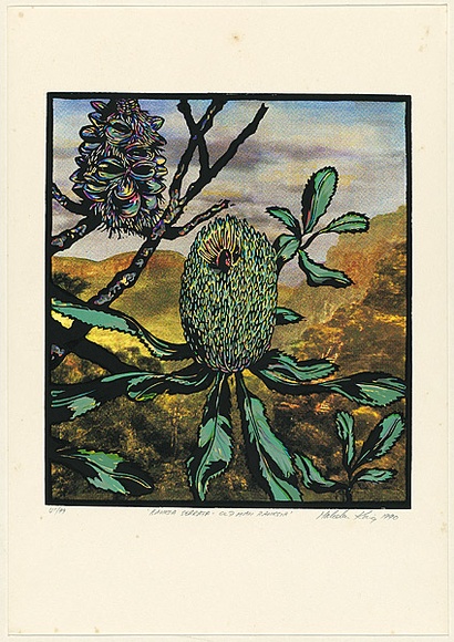 Title: Banksia serrata - old man banksia | Date: 1990 | Technique: screenprint, printed in colour, from multiple stencils
