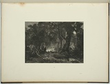 Title: bA settler's story of the wild old times... | Date: 1881 | Technique: b'wood-engraving, printed in black ink, from one block'