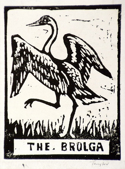 Artist: b'Taylor, John H.' | Title: b'The brolga' | Technique: b'linocut, printed in black ink, from one block'
