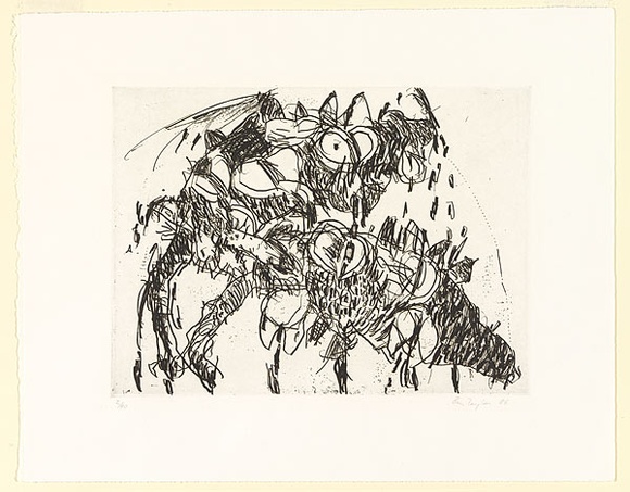 Artist: b'Taylor, Ben.' | Title: b'Bull Banksia' | Date: 1986 | Technique: b'etching, printed in black ink, from one  plate'