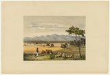 Artist: Angas, George French. | Title: Lynedoch Valley, looking towards the Barossa Range. | Date: 1846-47 | Technique: lithograph, printed in colour, from multiple stones; varnish highlights by brush