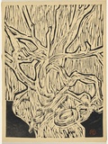 Title: b'Pohutukawa by the sea' | Date: 1964 | Technique: b'linocut, printed in black ink, from one plate'