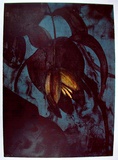 Artist: Maguire, Tim. | Title: (blue flower) | Date: 1993 | Technique: lithograph, printed in colour, from four stones | Copyright: © Tim Maguire