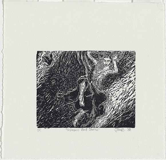 Artist: JAMES, C | Title: Unknown bird series | Date: 1988 | Technique: woodblock, printed in black ink, from one black ink