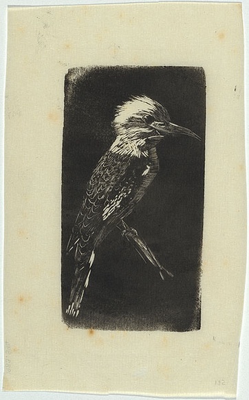 Artist: b'LINDSAY, Lionel' | Title: b'Kookaburra' | Date: 1910? | Technique: b'wood-engraving, printed in black ink, from one block' | Copyright: b'Courtesy of the National Library of Australia'