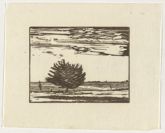 Artist: b'Hirschfeld Mack, Ludwig.' | Title: b'Cypress tree, Corio Bay' | Date: c.1943 | Technique: b'woodcut, printed in black ink, from one block'