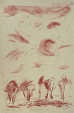 Artist: b'Trenfield, Wells.' | Title: b'Breezy day red' | Date: 1983 | Technique: b'lithograph, printed in red ink, from one stone'