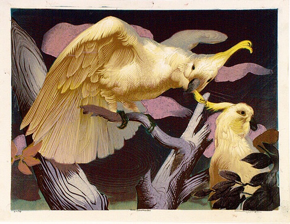 Artist: b'GRIFFIN, Murray' | Title: b'Two cockatoos.' | Date: 1969 | Technique: b'linocut, printed in colour, from multiple blocks'