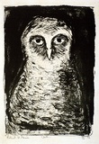 Artist: b'Grieve, Robert.' | Title: b'Owl' | Date: 1955 | Technique: b'lithograph, printed in black ink, from one stone'