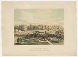 Artist: Austin, John Baptist. | Title: Lashbrook, South Australia, Residence of Rev. J. B. Austin. | Date: c.1848 | Technique: lithograph, printed in colour, from multiple stones; hand-coloured additions