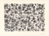 Artist: Huddleston, Joyce. | Title: not titled (abstraction of flowers) | Date: 2000, November | Technique: lithograph, printed in black ink, from one aluminium plate