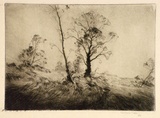 Artist: Boyd, Penleigh. | Title: (Trees in a landscape). | Date: c.1921 | Technique: drypoint, printed in warm black ink with plate-tone, from one plate