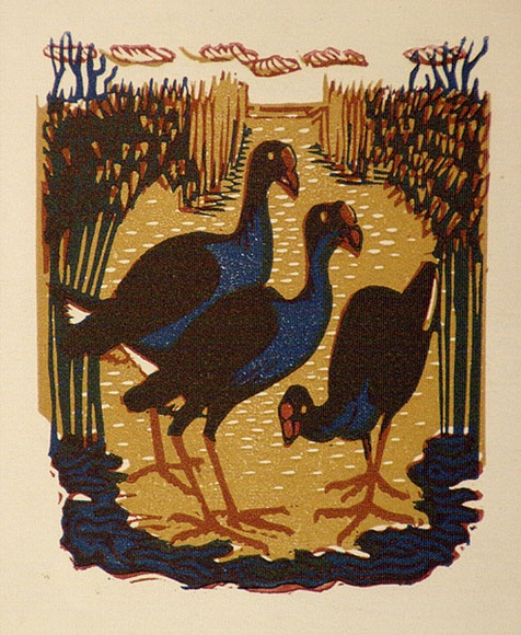 Artist: b'OGILVIE, Helen' | Title: b'Greeting card: Eastern swamp hen. (Print designed as christmas card)' | Date: c.1951 | Technique: b'linocut, printed in colour, from multiple blocks'