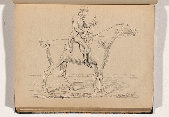 Artist: b'Nicholas, William.' | Title: b'The sportsman (John Rose Holden)' | Date: 1847 | Technique: b'pen-lithograph, printed in black ink, from one plate'