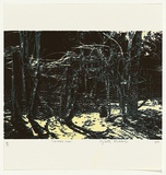 Artist: Waddell, Elizabeth. | Title: Uriarra vine | Date: 1980 | Technique: screenprint, printed in colour, from three stencils
