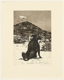 Artist: Harding, Nicholas. | Title: not titled [dog on beach] | Date: 2005 | Technique: aquatint, sugar-lift and open-bite, printed in black/brown ink, from one plate
