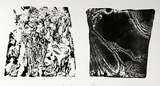 Artist: SHEARER, Mitzi | Title: not titled | Technique: etching, printed in black ink, from two  plates