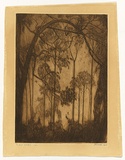 Artist: b'TRAILL, Jessie' | Title: b'The west window' | Date: 1922 | Technique: b'etching and drypoint, printed in warm black ink with plate-tone, from one plate'