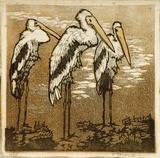 Artist: b'OGILVIE, Helen' | Title: b'Three storks.' | Date: c. 1935 | Technique: b'linocut, printed in colour, from multiple blocks'