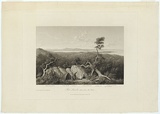 Artist: Ackermann & Co. | Title: Port Lincoln, taken from the south. | Date: 1835 | Technique: etching and aquatint, printed in black ink, from one plate