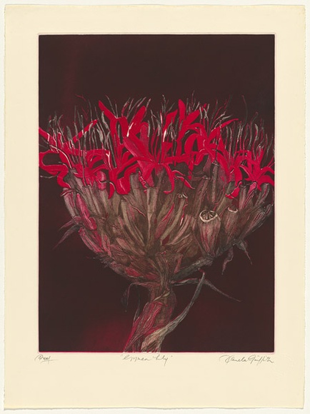 Artist: b'GRIFFITH, Pamela' | Title: b'Gymea lily' | Date: 1983 | Technique: b'hardground-etching, aquatint and burnishing, printed in colour, from two zinc plates' | Copyright: b'\xc2\xa9 Pamela Griffith'