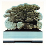 Artist: Geier, Helen. | Title: English hedge 1 | Date: 1974 | Technique: photo-lithograph, printed in colour, from multiple plates