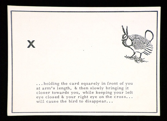 Artist: b'Peacock, Bob.' | Title: b'Vanishing bird, heath hen: a postcard from the portfolio Rare birds with sticky wings.' | Date: (1976) | Technique: b'photocopy'