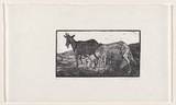 Artist: Groblicka, Lidia. | Title: Goats | Date: 1956 | Technique: woodcut, printed in black ink, from one block