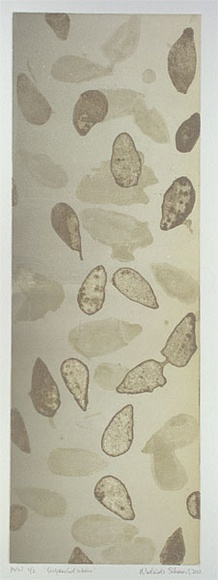 Artist: b'Schawel, Melinda.' | Title: b'Suspended water' | Date: 2000, February | Technique: b'etching, printed in colour, from multiple plates'