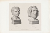 Artist: bDumont-D'Urville, Jules S\xc3\xa9bastien C\xc3\xa9sar. | Title: b'Tasmanian Aboriginal heads.' | Date: 1841-45 | Technique: b'lithograph, printed in black ink, from one stone'