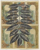 Artist: b'HALL, Fiona' | Title: b'Spondias pinnata - Emberella/bile tree (French currency)' | Date: 2000 - 2002 | Technique: b'gouache' | Copyright: b'\xc2\xa9 Fiona Hall'