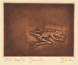 Artist: Stuart, Guy. | Title: Grenouille | Date: 1982 | Technique: etching and aquatint, printed in sepia ink, from one plate