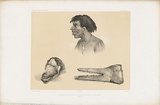 Artist: Le Breton, Louis. | Title: Torres Strait Islander and masks | Technique: lithograph, printed in black ink, from one stone