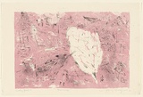 Artist: MACQUEEN, Mary | Title: Dunnings | Date: 1976 | Technique: lithograph, printed in colour, printed from multiple plates | Copyright: Courtesy Paulette Calhoun, for the estate of Mary Macqueen