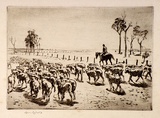 Artist: b'LINDSAY, Lionel' | Title: b'Travelling sheep to Bourke' | Date: c.1940 | Technique: b'drypoint, printed in brown ink with plate-tone, from one plate' | Copyright: b'Courtesy of the National Library of Australia'