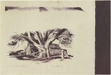 Artist: b'Jack, Kenneth.' | Title: b'Farm Gate, Portland' | Date: 1954 | Technique: b'lithograph, printed in purple-brown ink, from one zinc plate' | Copyright: b'\xc2\xa9 Kenneth Jack. Licensed by VISCOPY, Australia'