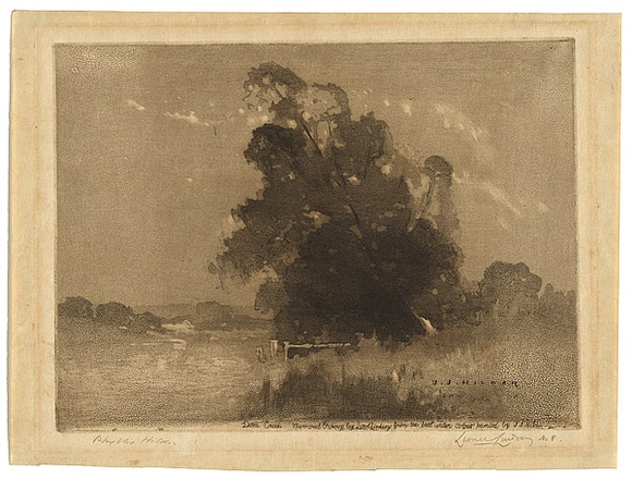 Artist: b'Hilder, J.J.' | Title: b'Dora Creek' | Date: 1918 | Technique: b'spirit-aquatint and drypoint, printed in brown ink, from one plate' | Copyright: b'Courtesy of the National Library of Australia'