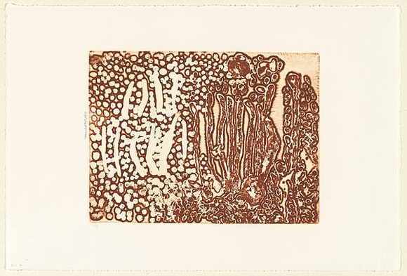 Artist: b'Nampitjin, Eubena.' | Title: b'Heavily textured vertical lines and dot motif' | Date: 2000, 3 April | Technique: b'etching, printed in reddish brown ink, from one zinc plate'