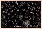 Artist: b'Petyarre, Annie.' | Title: b'not titled [No.28]' | Date: 1990 | Technique: b'woodcut, printed in black ink, from one block'