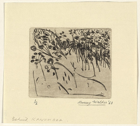 Artist: b'WALKER, Murray' | Title: b'Behind Kanumbra (Victoria)' | Date: 1963 | Technique: b'drypoint, printed in black ink, from one plate'