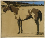 Artist: b'Young, Blamire.' | Title: b'Horse' | Date: 1898 | Technique: b'lithograph, printed in colour, from multiple stones [or plates]'