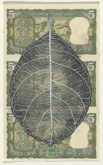 Artist: b'HALL, Fiona' | Title: b'Artocarpus heterophyllus - Jakfruit (Indian currency)' | Date: 2000 - 2002 | Technique: b'gouache' | Copyright: b'\xc2\xa9 Fiona Hall'