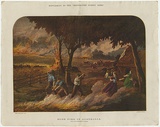 Artist: Calvert, Samuel. | Title: Bush fire in Australia. | Date: 1880 | Technique: wood-engraving, printed in colour, from multiple blocks