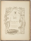 Artist: b'Meredith, Louisa Anne.' | Title: b'Lost [title page]' | Date: 1860 | Technique: b'lithograph, printed brown ink, from one stone'