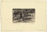 Artist: b'WALKER, Murray' | Title: b'A blasted ancient oak in Richmond Park' | Date: 1960 | Technique: b'drypoint, printed in black ink, from one plate'