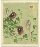 Artist: Allport, C.L. | Title: (The Dutchman's pipe, Queensland). | Date: c.1928 | Technique: linocut, printed in colour, from multiple blocks